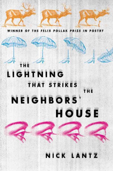 The lightning that strikes the neighbors' house [electronic resource] / Nick Lantz.