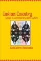 Indian country : essays on contemporary native culture  Cover Image